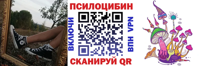 Псилоцибиновые грибы GOLDEN TEACHER Зубцов