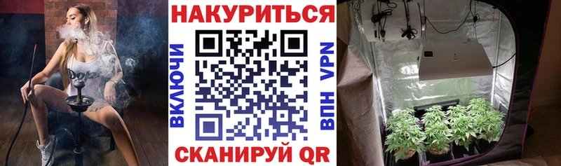 KRAKEN вход  Зубцов  Марихуана White Widow 